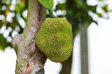 经典RPG游戏《对不起，我是个NPC》 登陆Switch平台